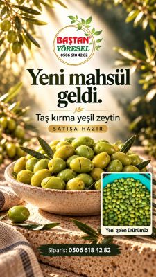 2kg Yeni Mahsül Taş Kırma Doğal Ev Yapımı Yeşil Zeytin