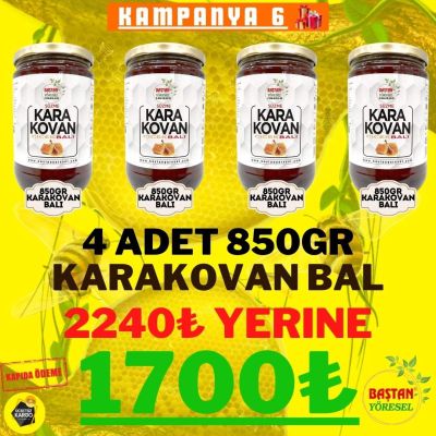 Kampanya 6 - 4 Adet 850gr Karakovan Balı