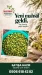 Baştan Yöresel 2kg Yeni Mahsül Taş Kırma Doğal Ev Yapımı Yeşil Zeytin ürün görüntüsü