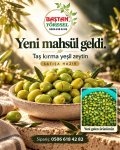 Baştan Yöresel 2kg Yeni Mahsül Taş Kırma Doğal Ev Yapımı Yeşil Zeytin ürün görüntüsü