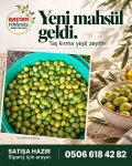 Baştan Yöresel 2kg Yeni Mahsül Taş Kırma Doğal Ev Yapımı Yeşil Zeytin ürün görüntüsü