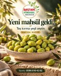 Baştan Yöresel 2kg Yeni Mahsül Taş Kırma Doğal Ev Yapımı Yeşil Zeytin ürün görüntüsü